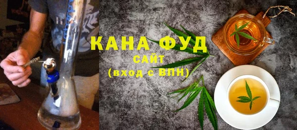 дмт Протвино