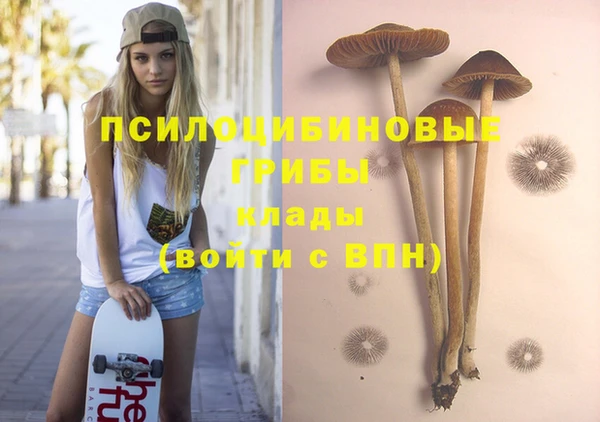 дмт Протвино