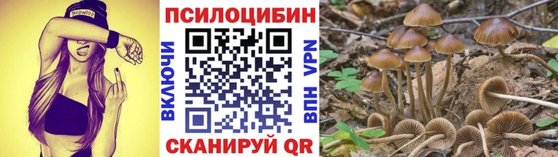 где купить мега зеркало Галлюциногенные грибы Psilocybe маркетплейс какой сайт Серафимович